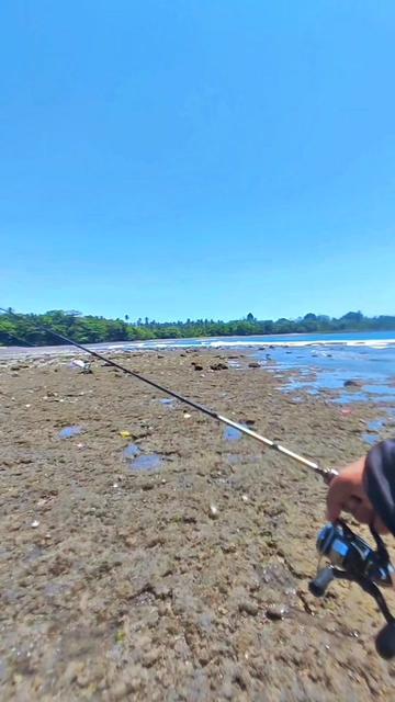 @FaridSigar🎣