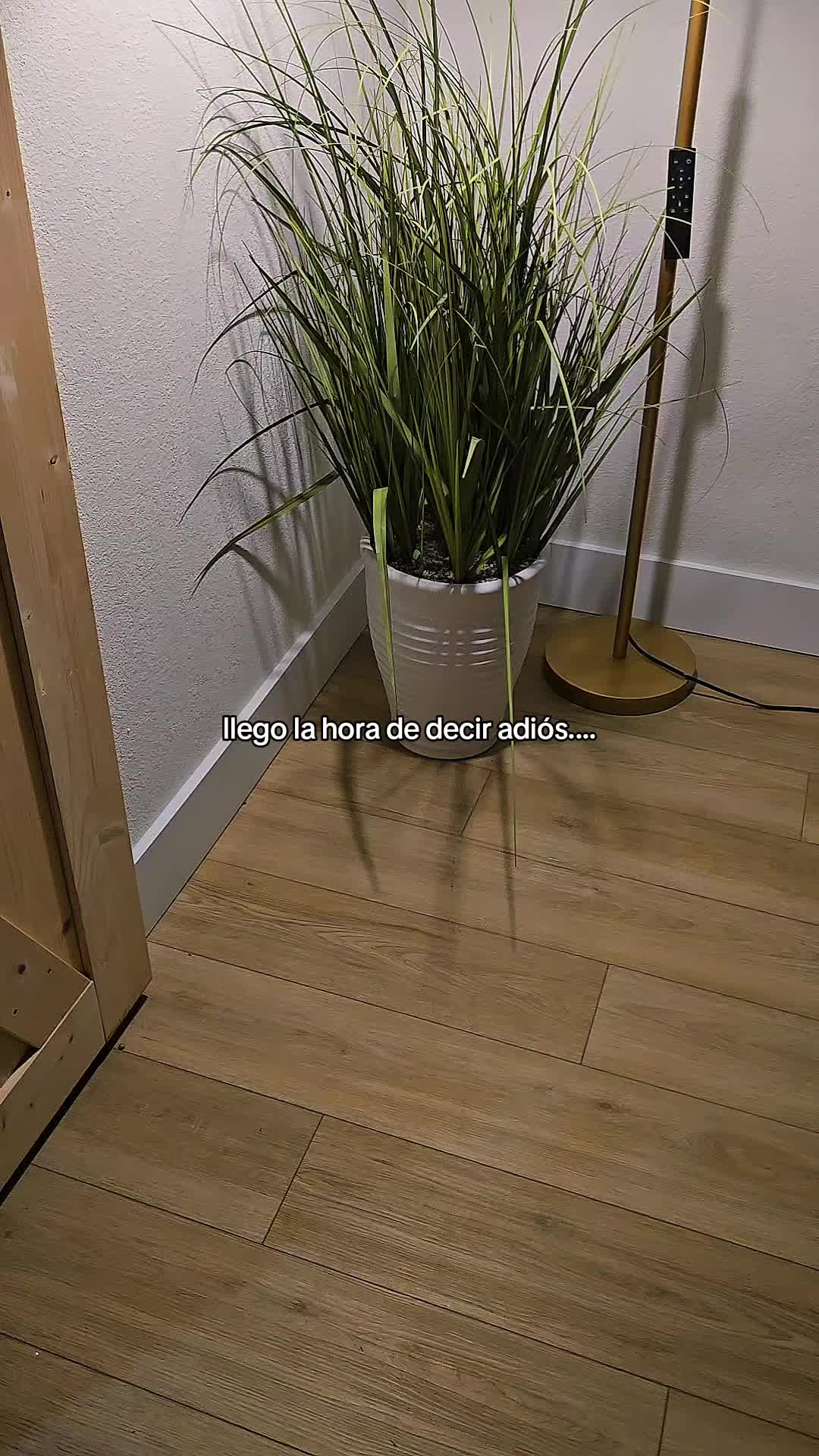 @YeinysVibes