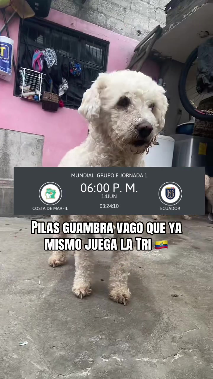 @Lumi.real