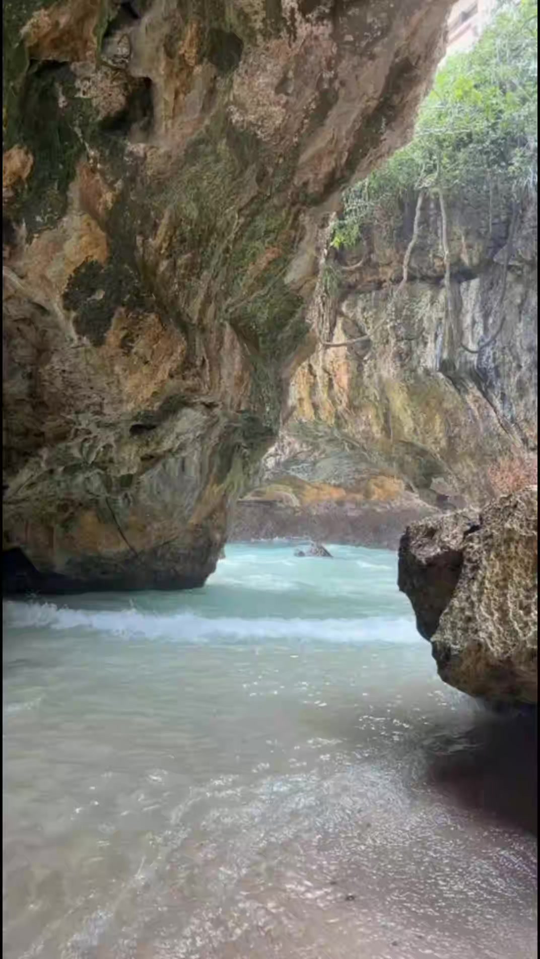 @Bali line tours