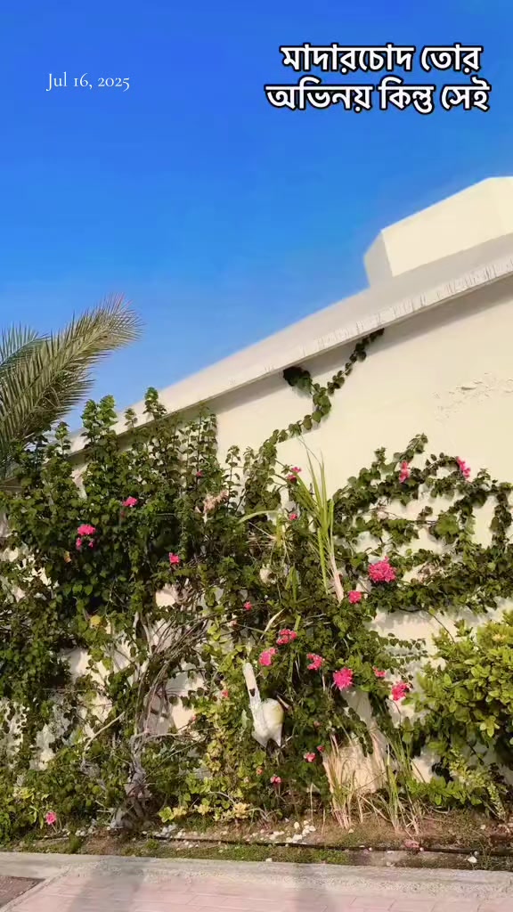 @🦋⃟≛⃝🇧🇩 𝑹𝒊𝒚𝒂≛⃝🎀࿐