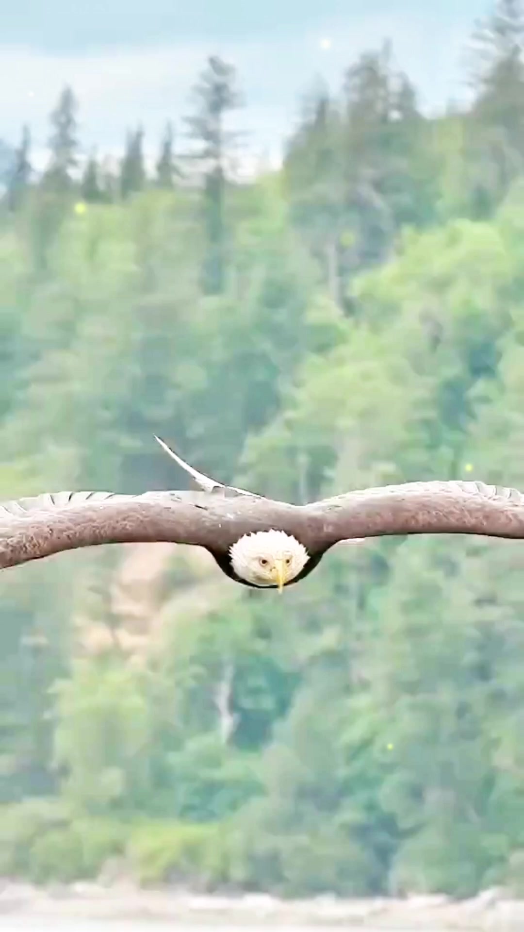 @âºâ¥âàŒð
ð°ð»ðžðŒð
ð³ðŽð
ðŸð¹ðžð