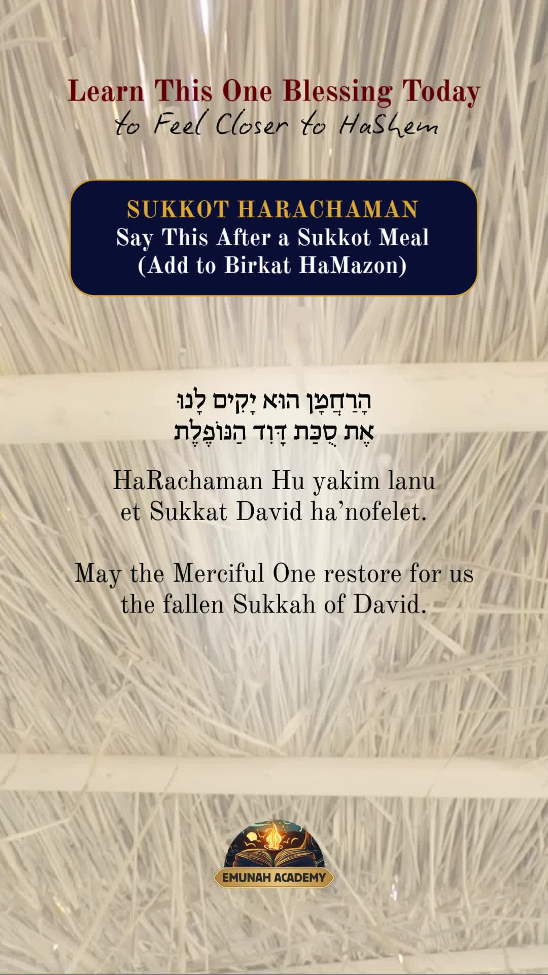 @Rav Dror