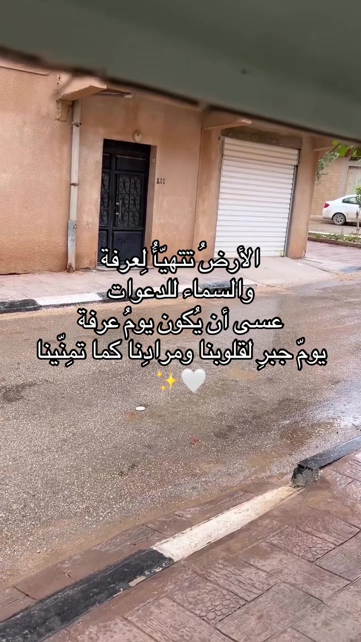 @Nour_sales03