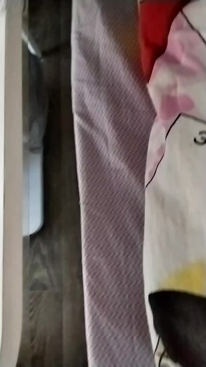 @Alisa Chobanu