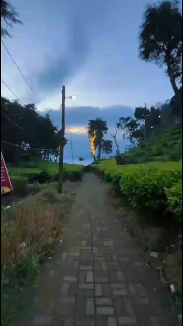 @PutraMbontoT