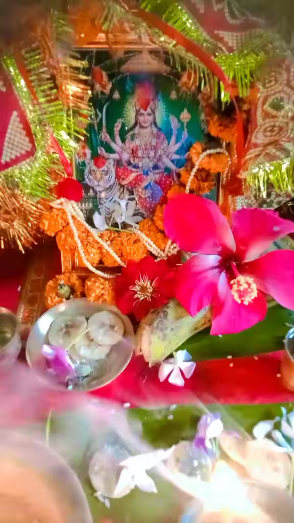 @renu_sharma1174