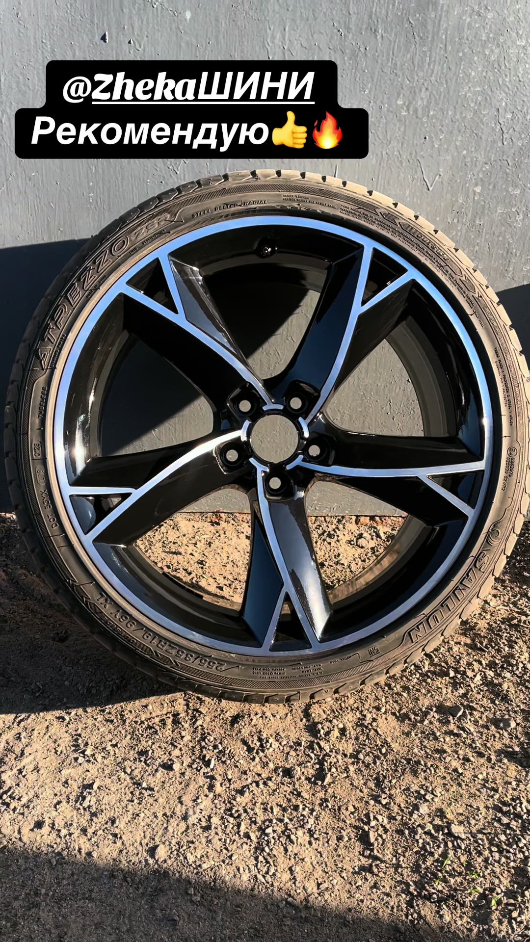 @Car Paint Звягель