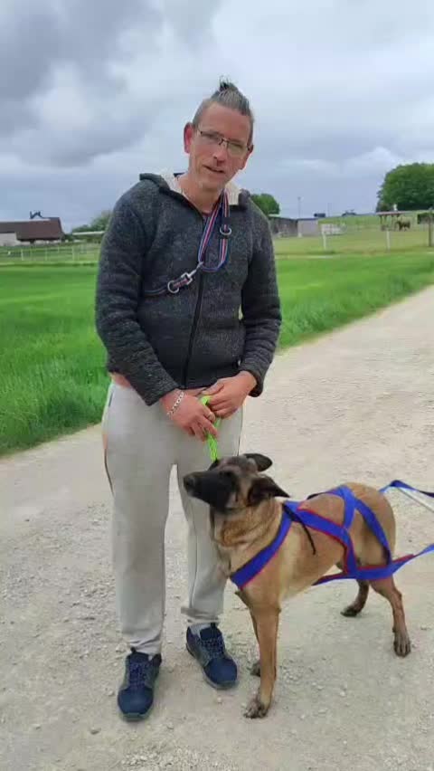 @Malinoirist Bootcamp
