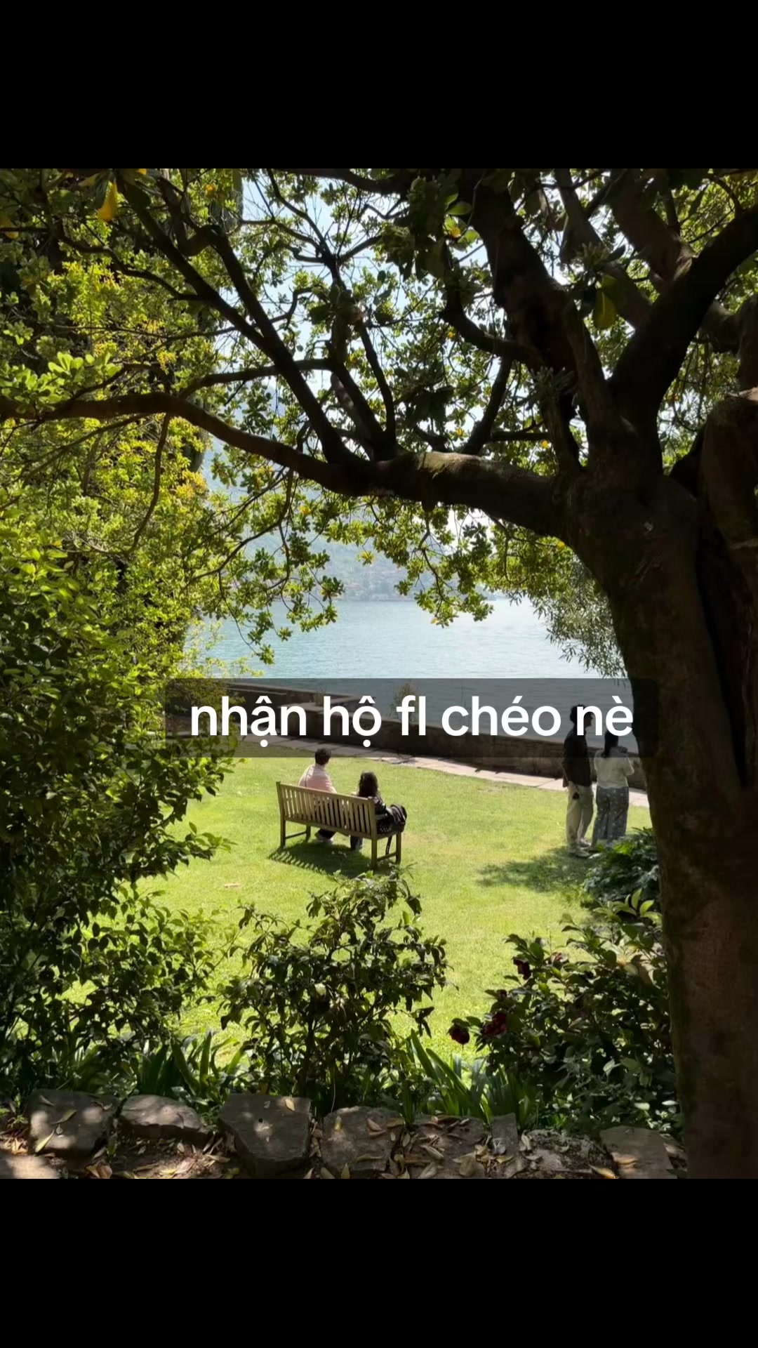 @mimi