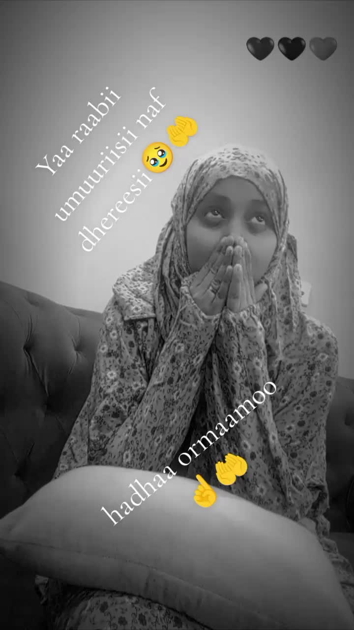 @daree manchoo