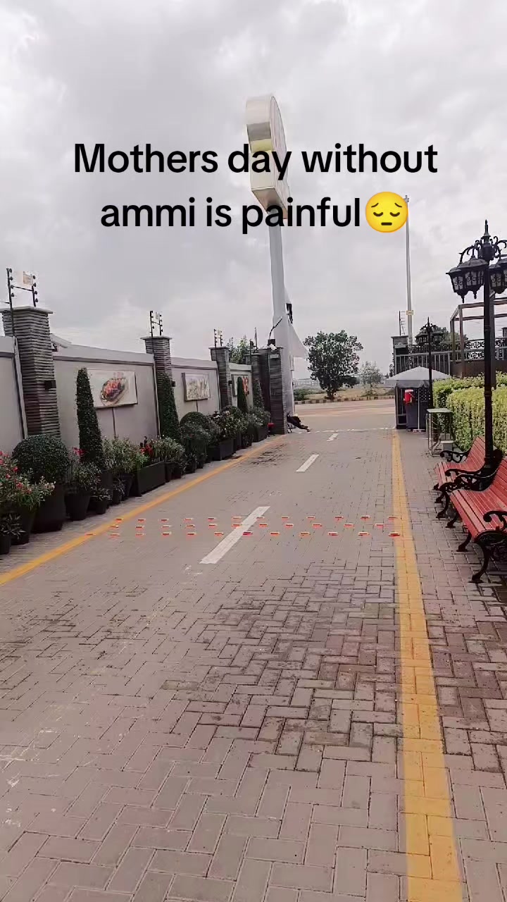 @syeda Anum Faisal🌸🌸