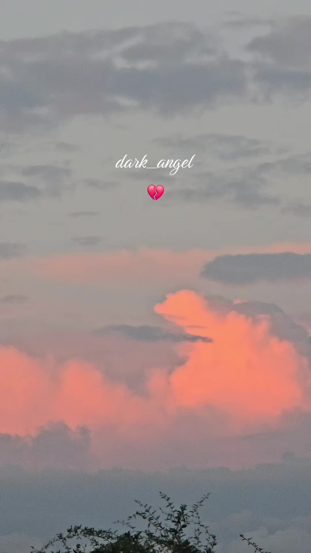@Dark Angel