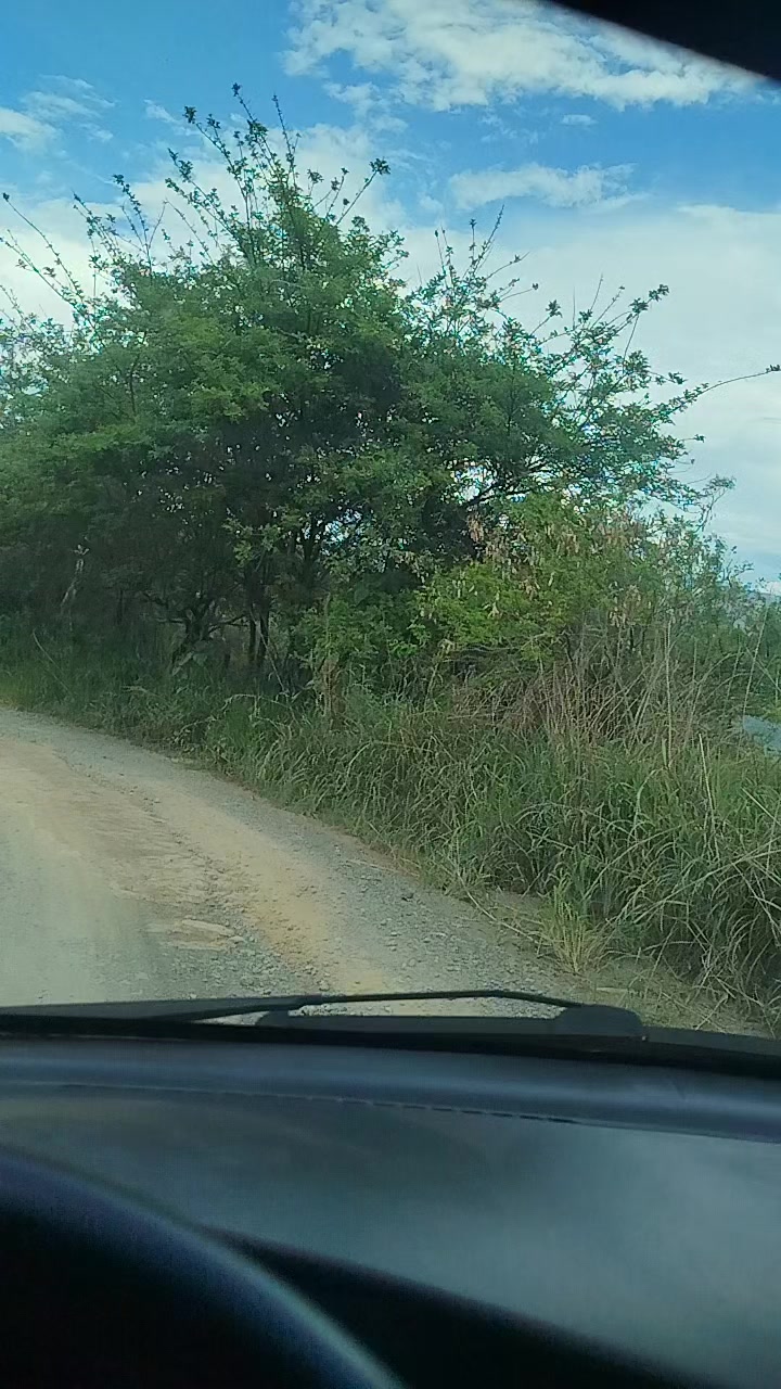 @Yolandita diaz