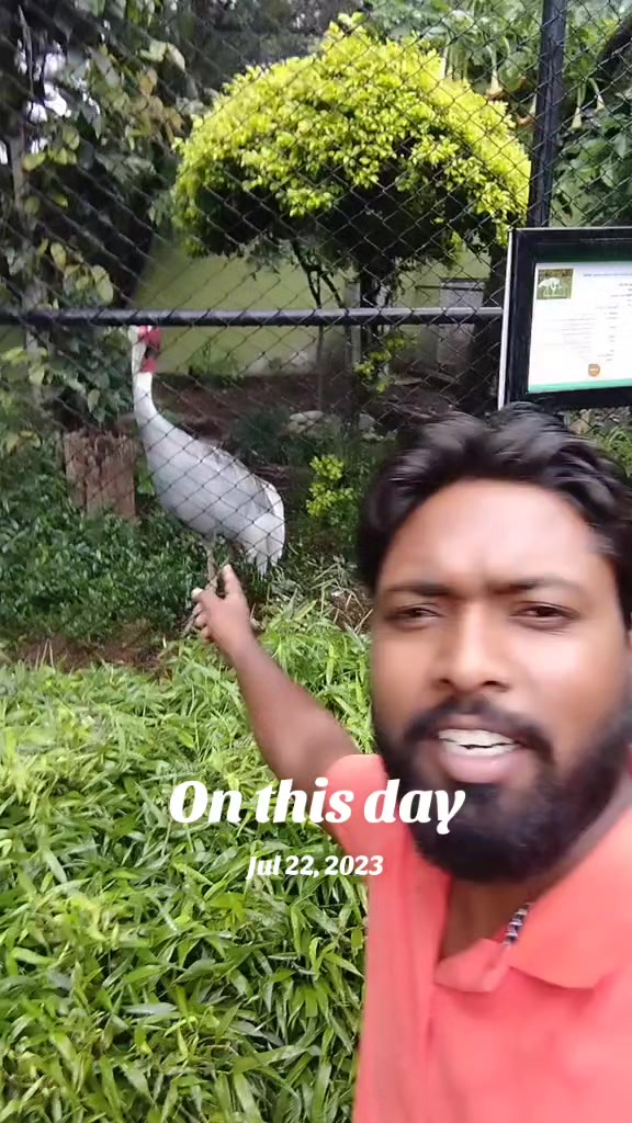 @saroojpaswan