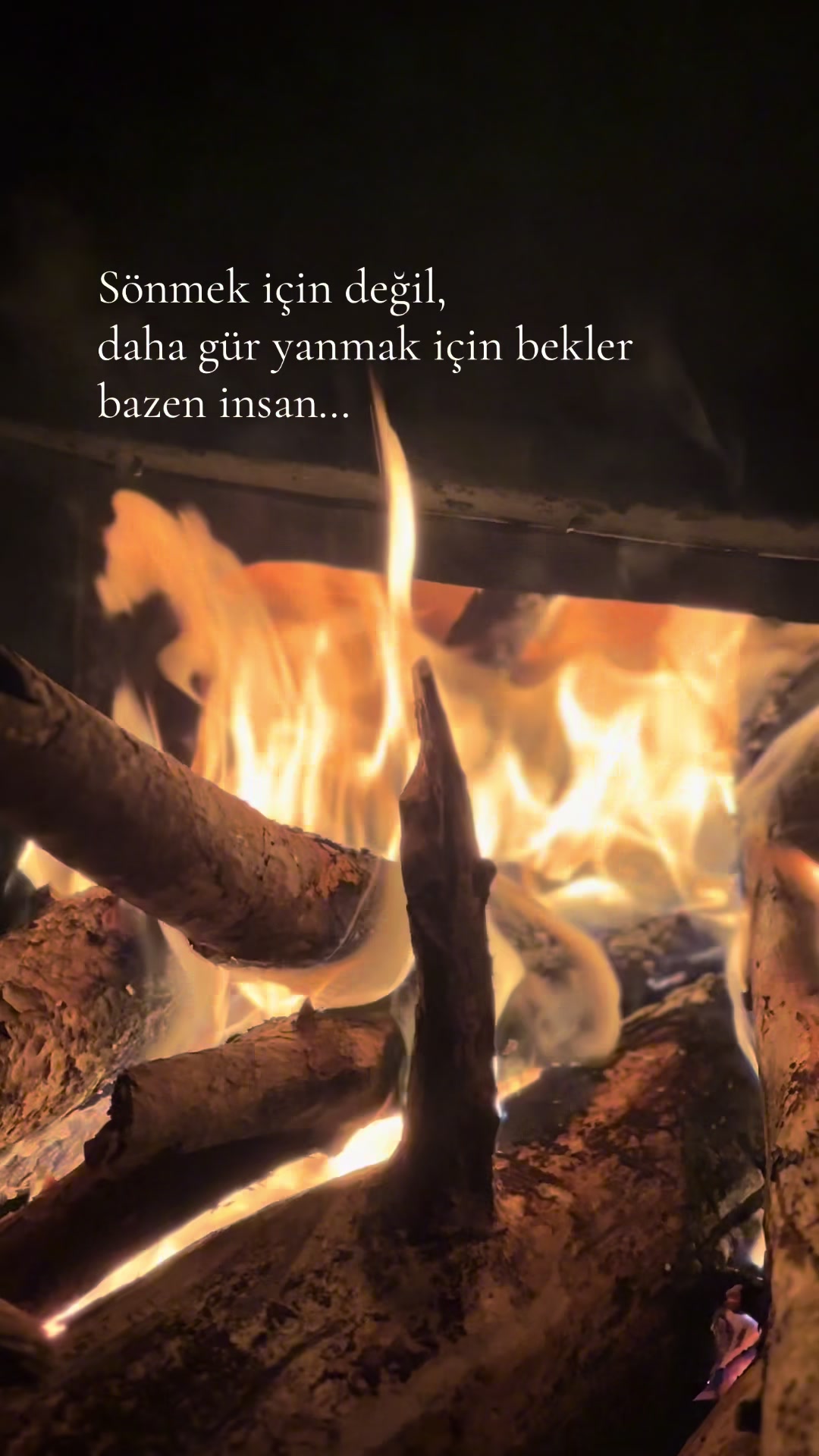 @Şerife 🍀