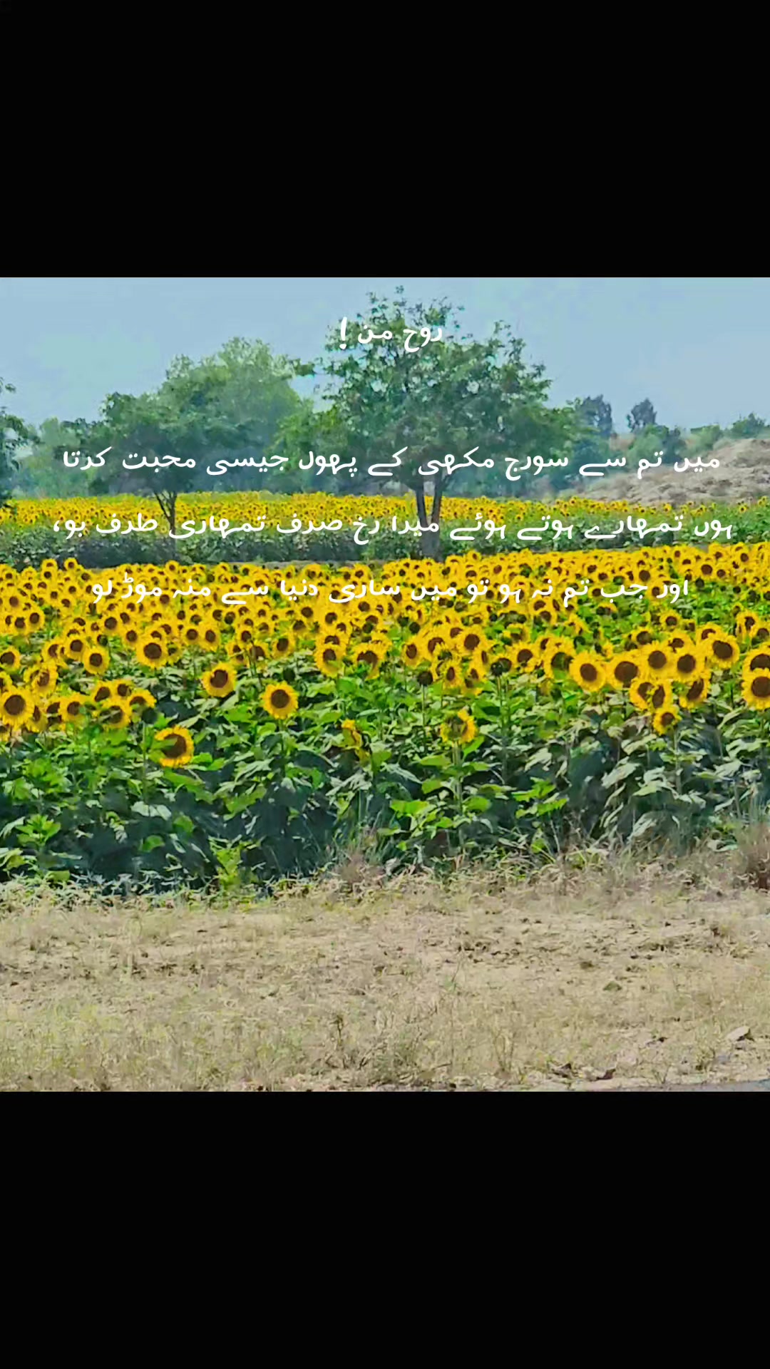 @خاک در جاناں
