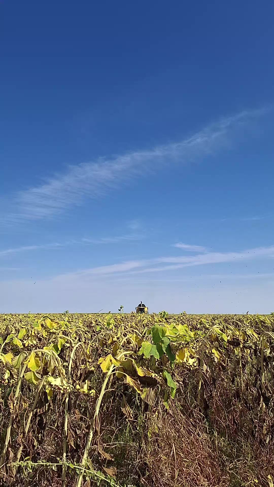 @yusuf uçar