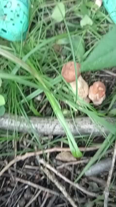 @Анна Хорзова