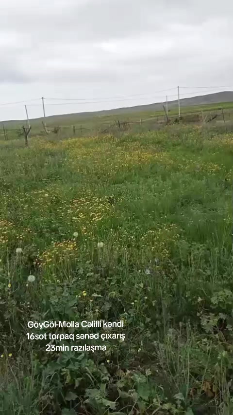 @Aliasker