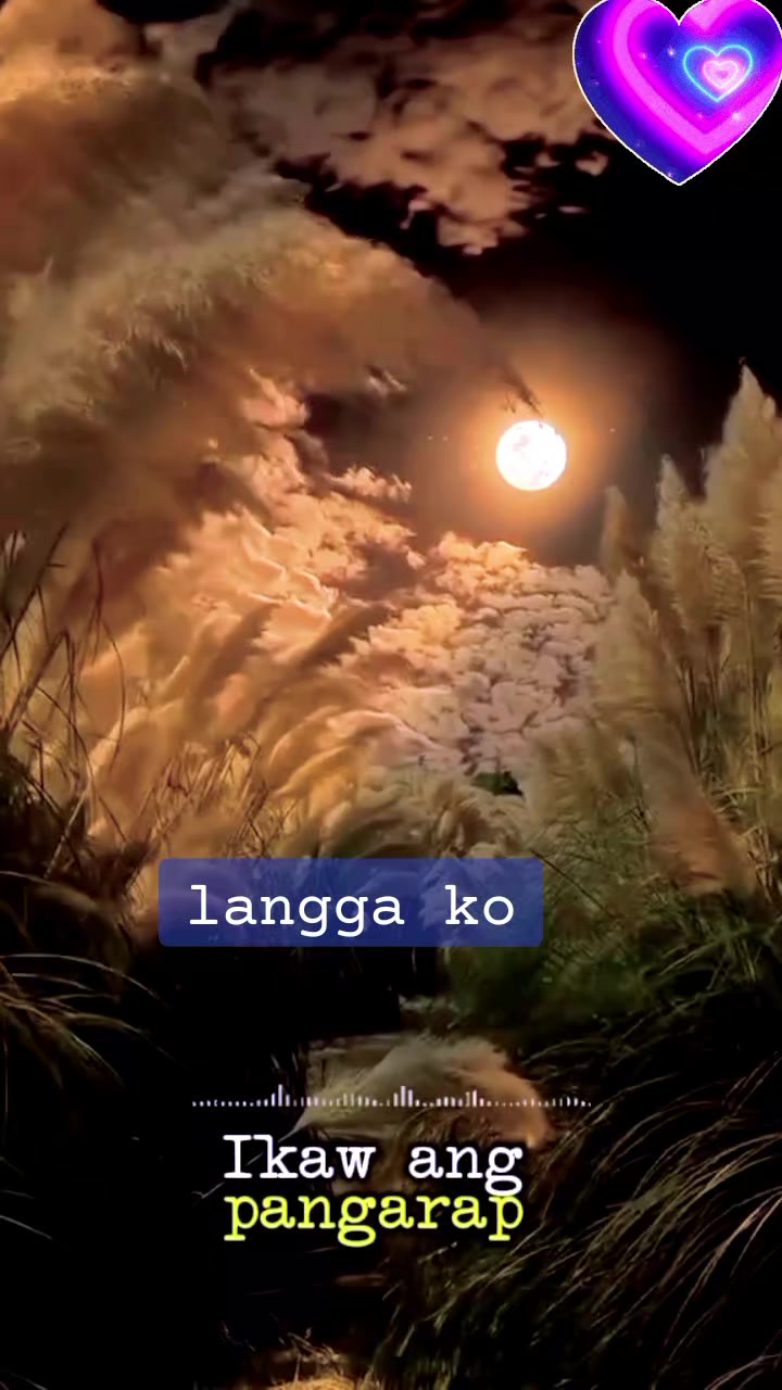 @Lola Morena