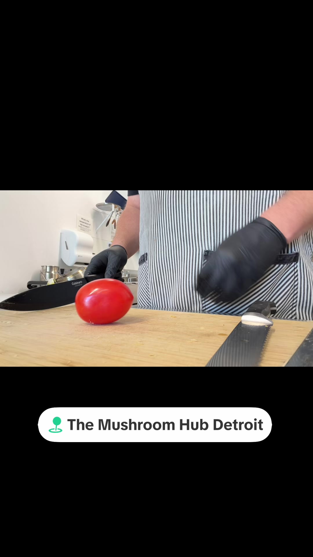 @The Mushroom Hub