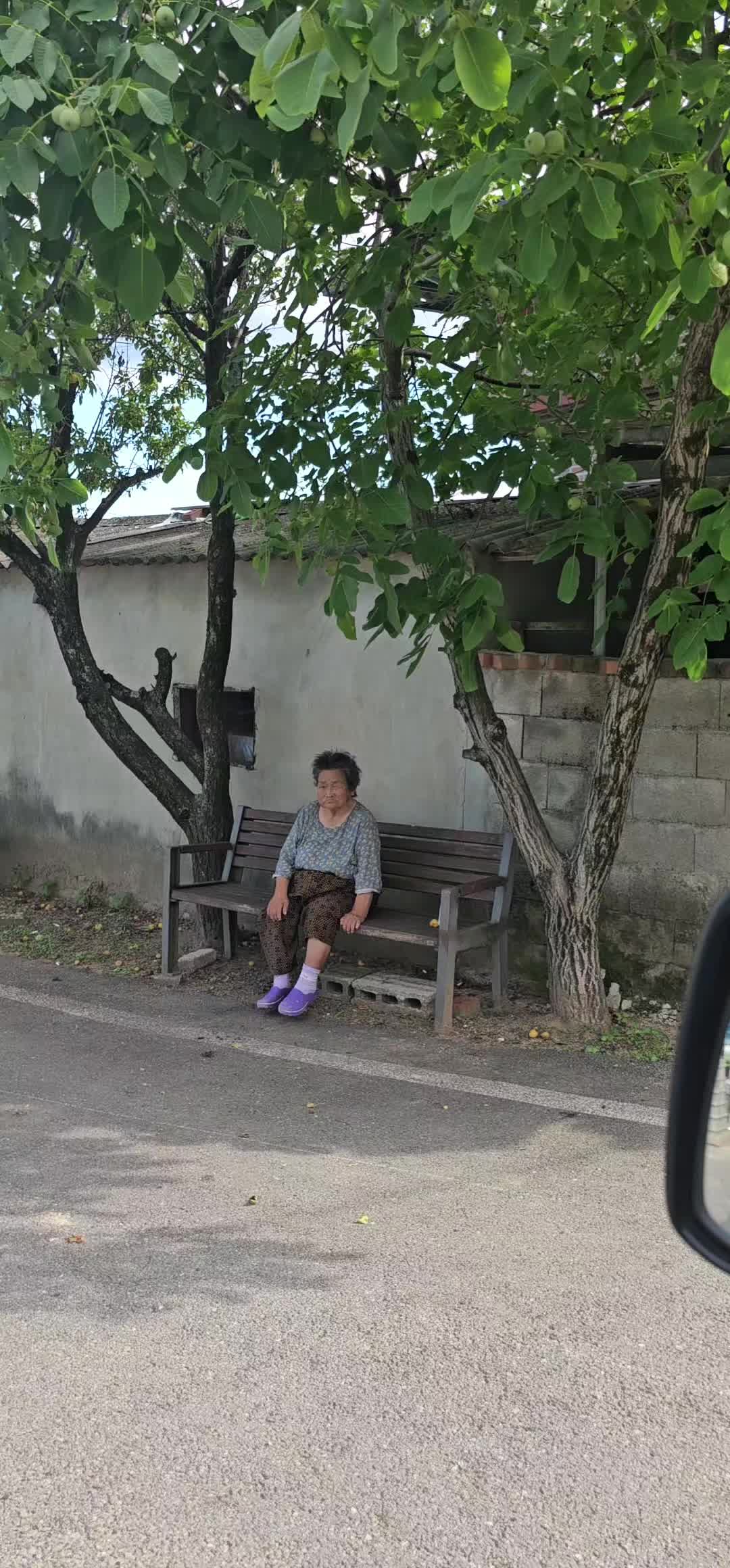 @ykvirus