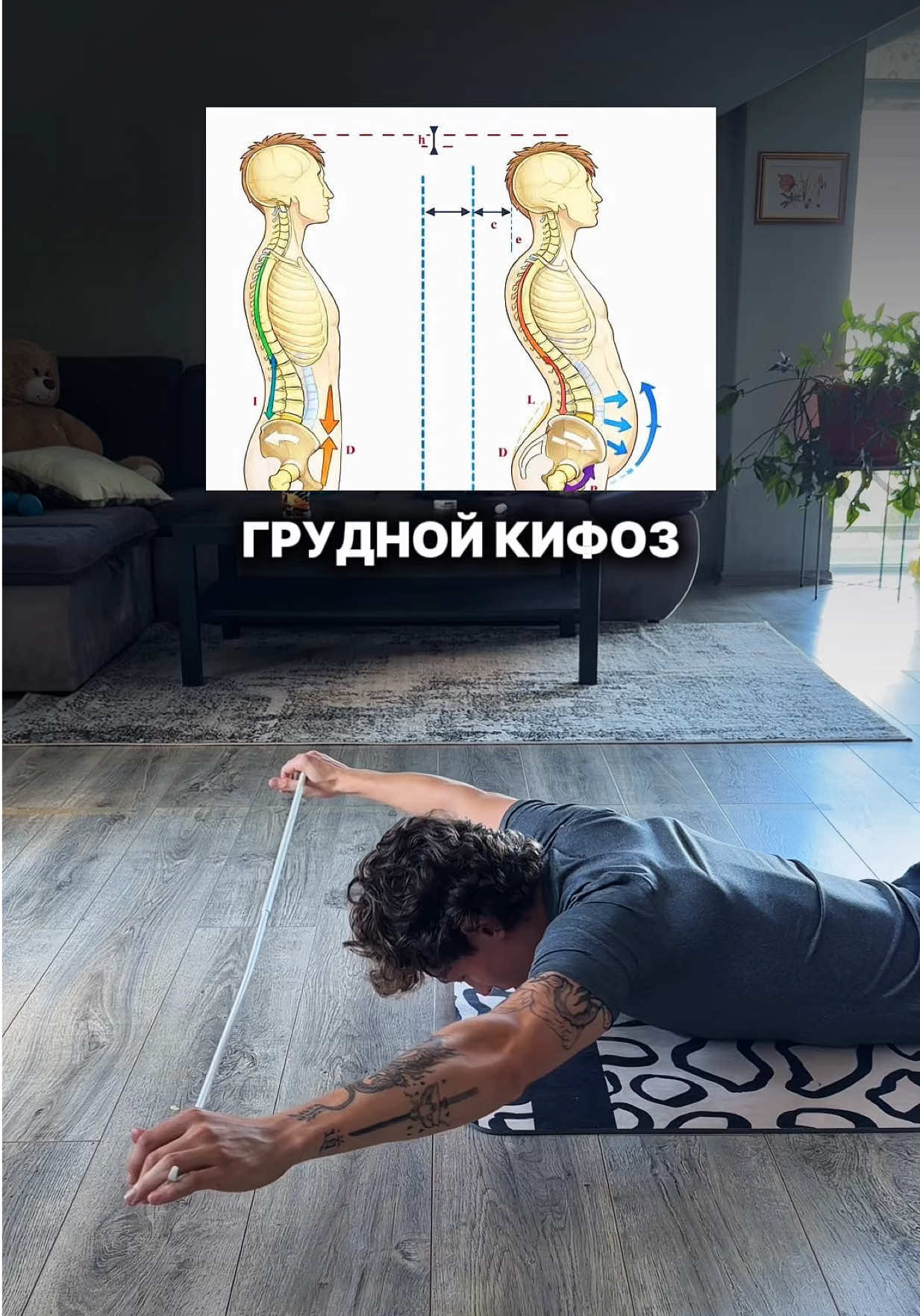 @protokolis