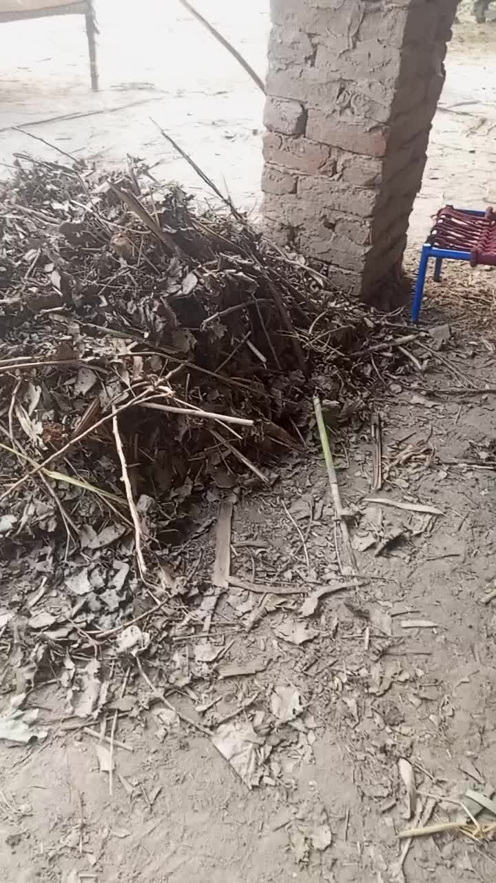 @Malik Tajammul Abbas Khokher