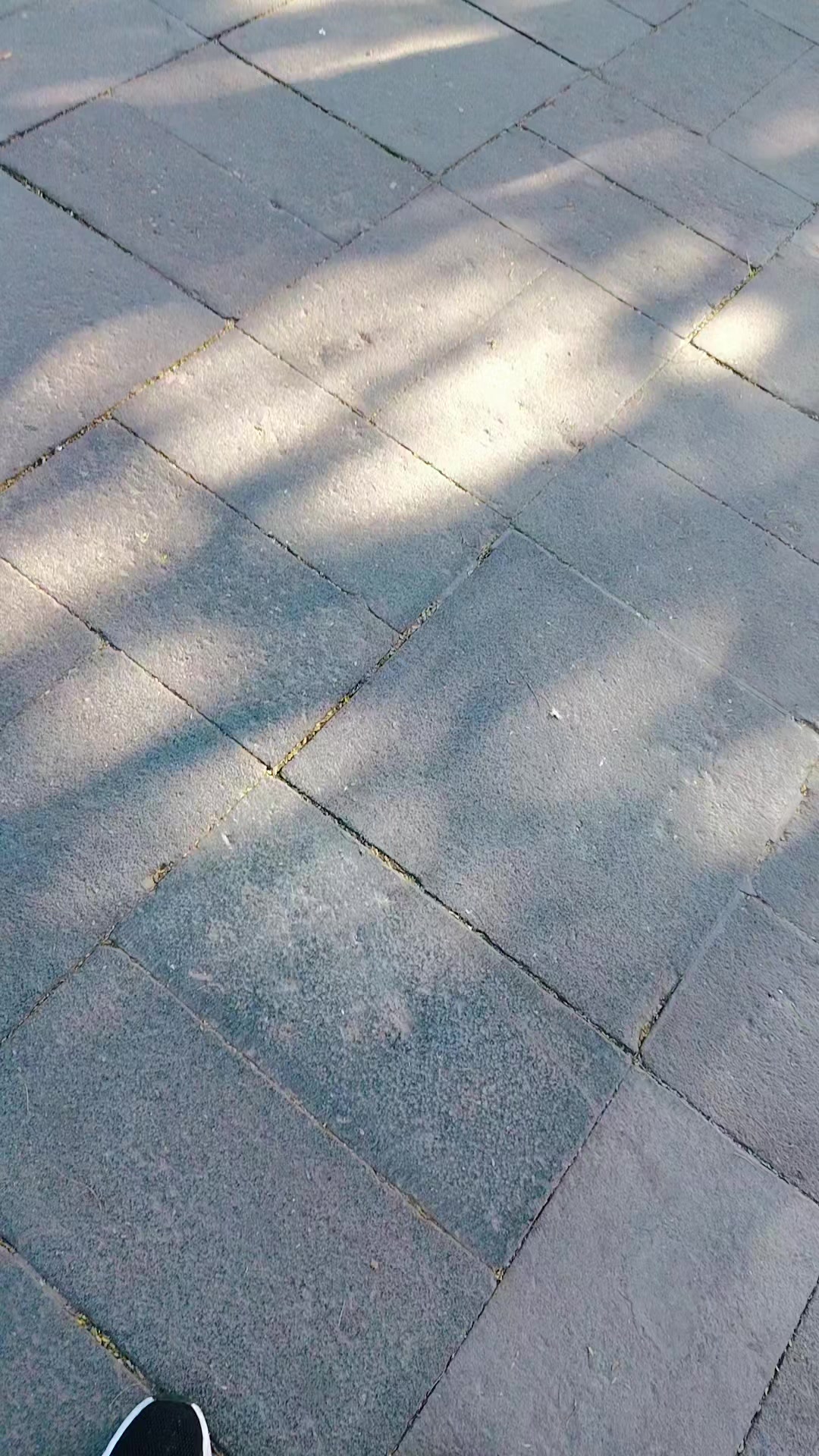@abdias019