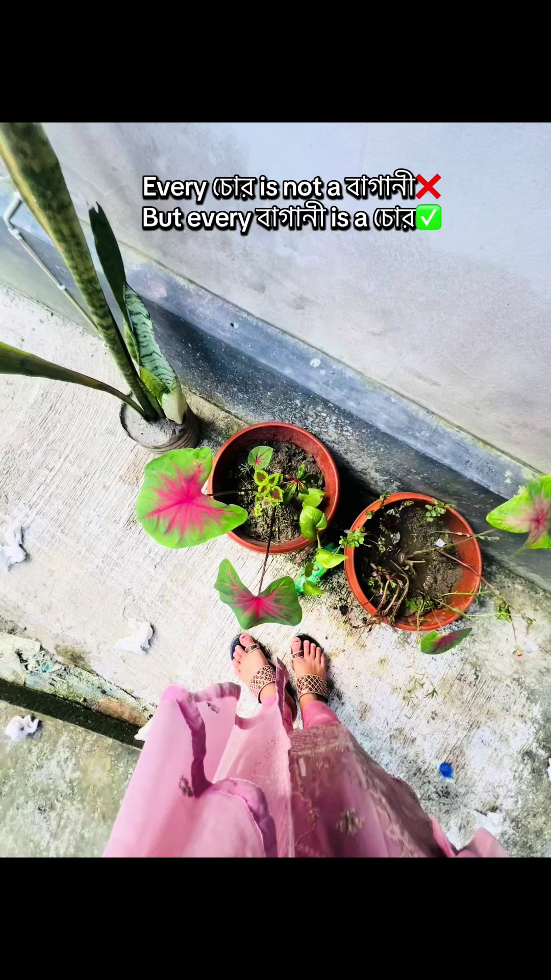 @𝓝𝓲𝓳𝓱𝓾 𝓜🦋