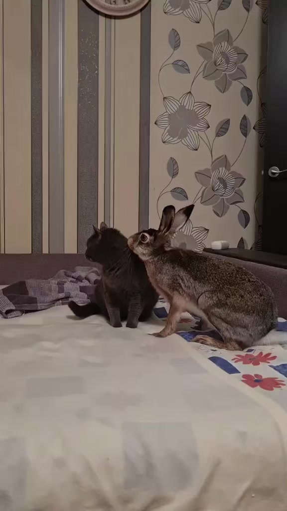 @зайка Блума💋