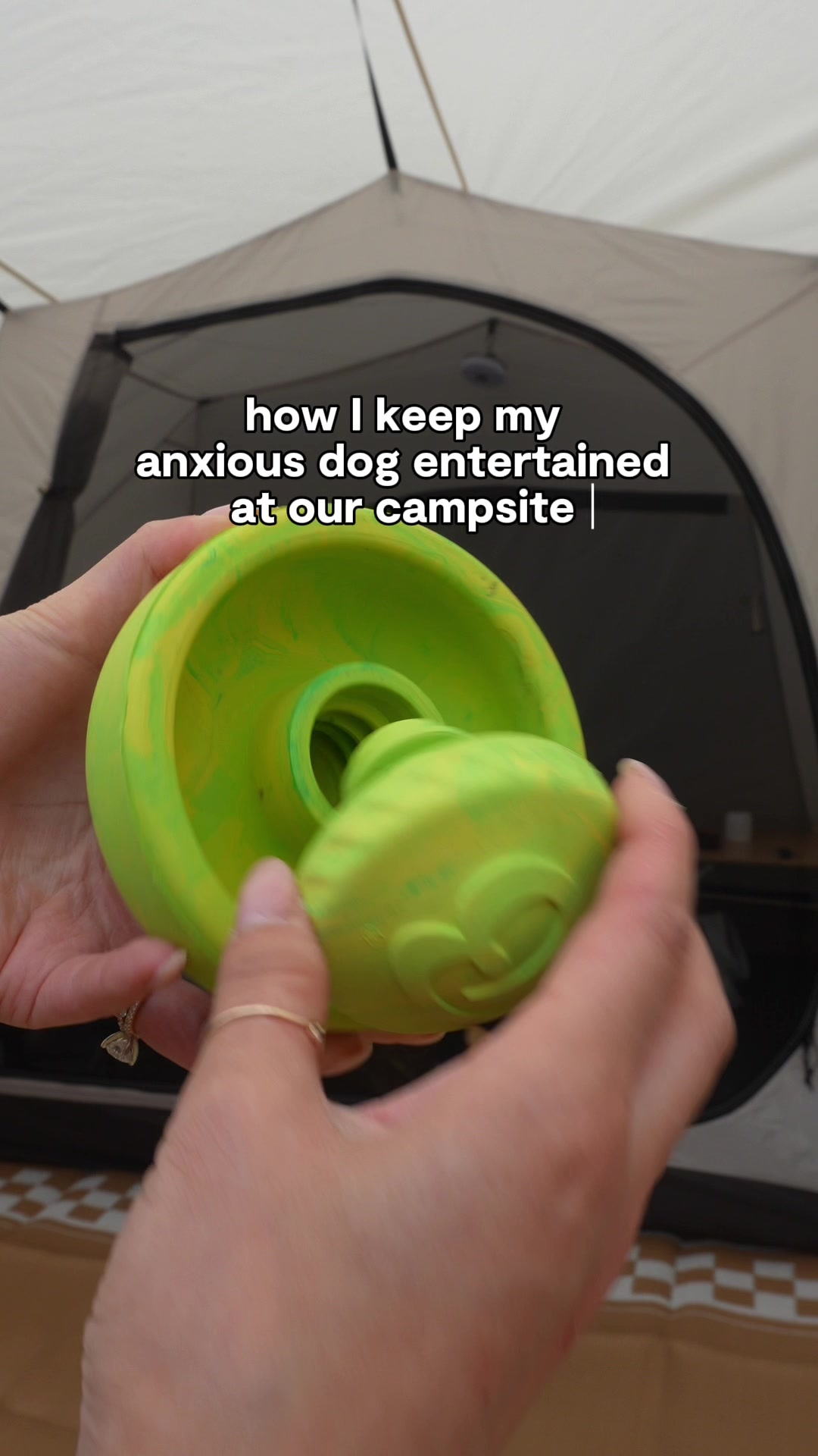 @ayce & aria 🐶