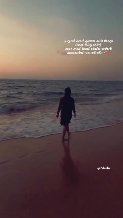 @M 🍉