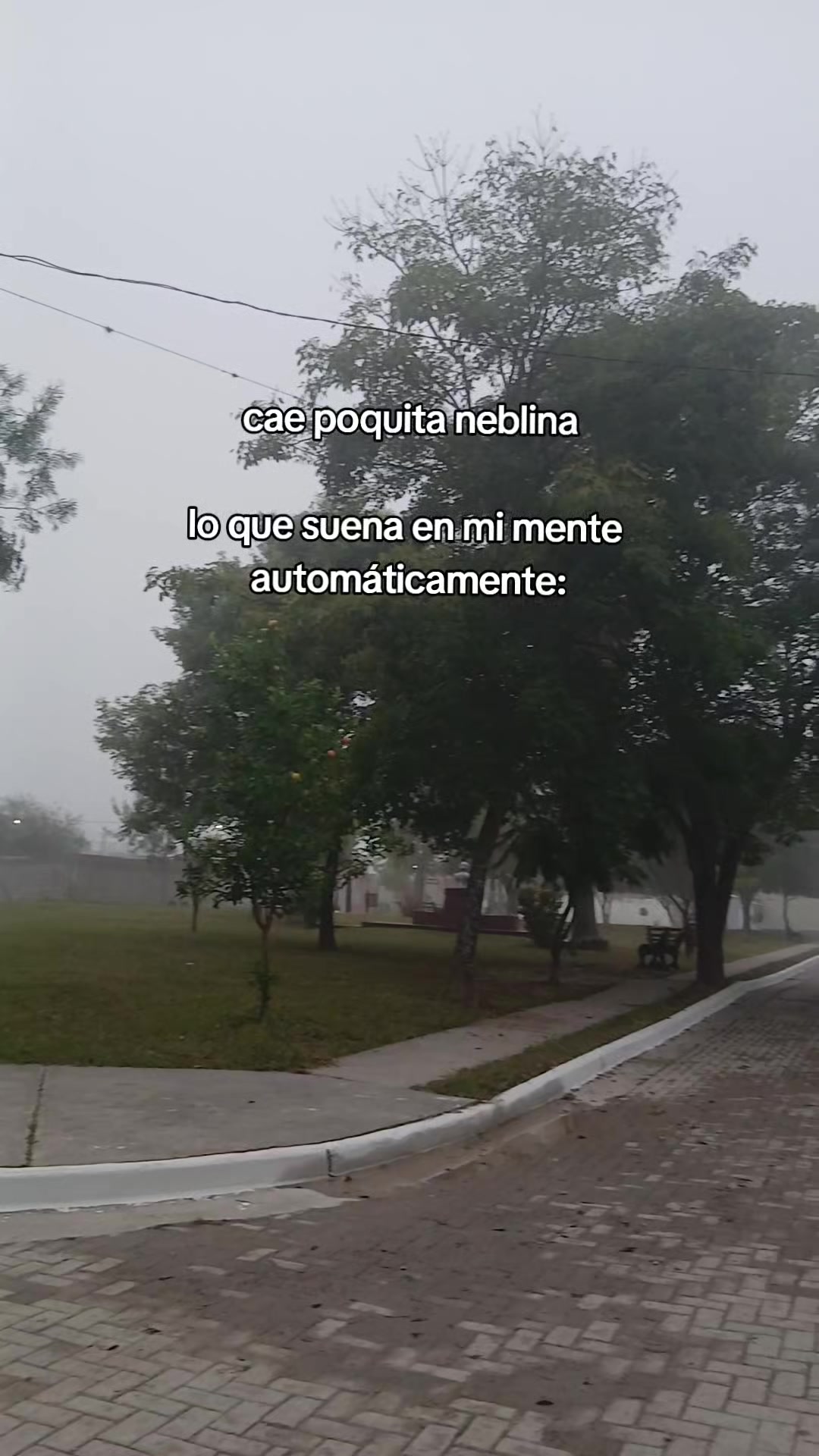 @marrr