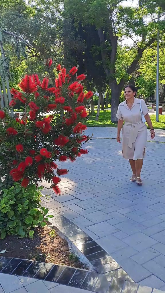 @Mensure Axundova