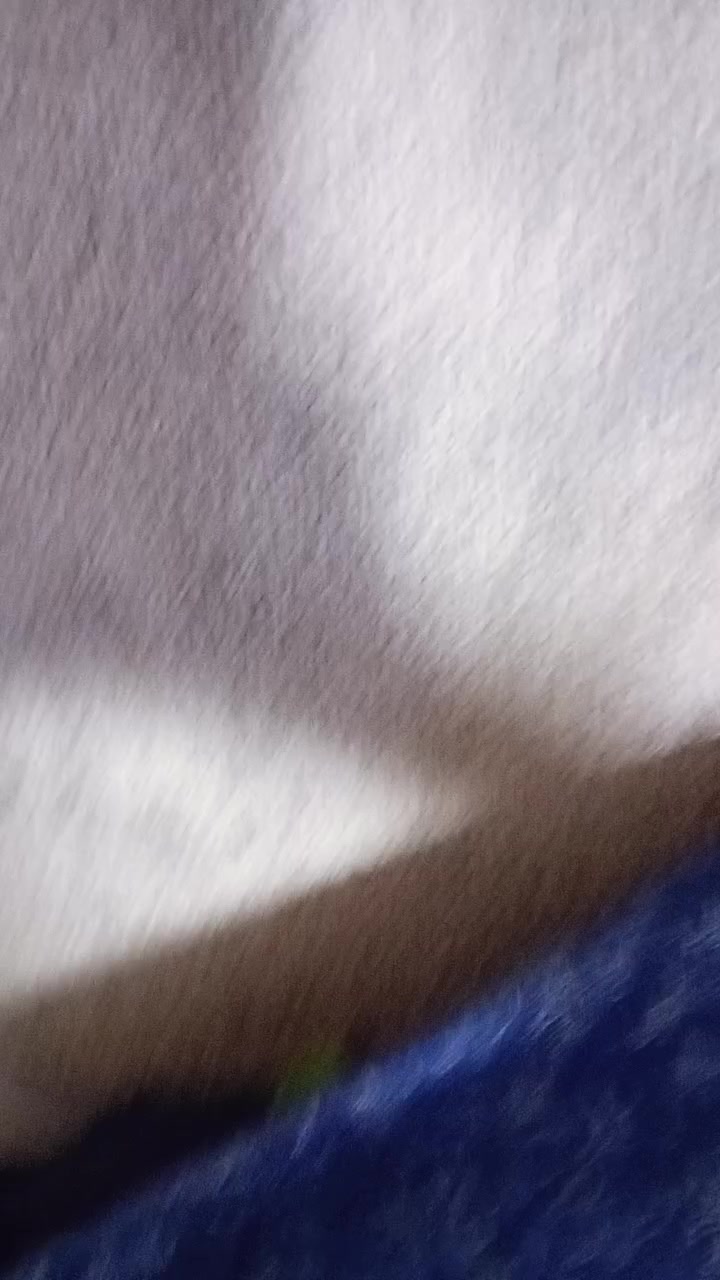 @qizter