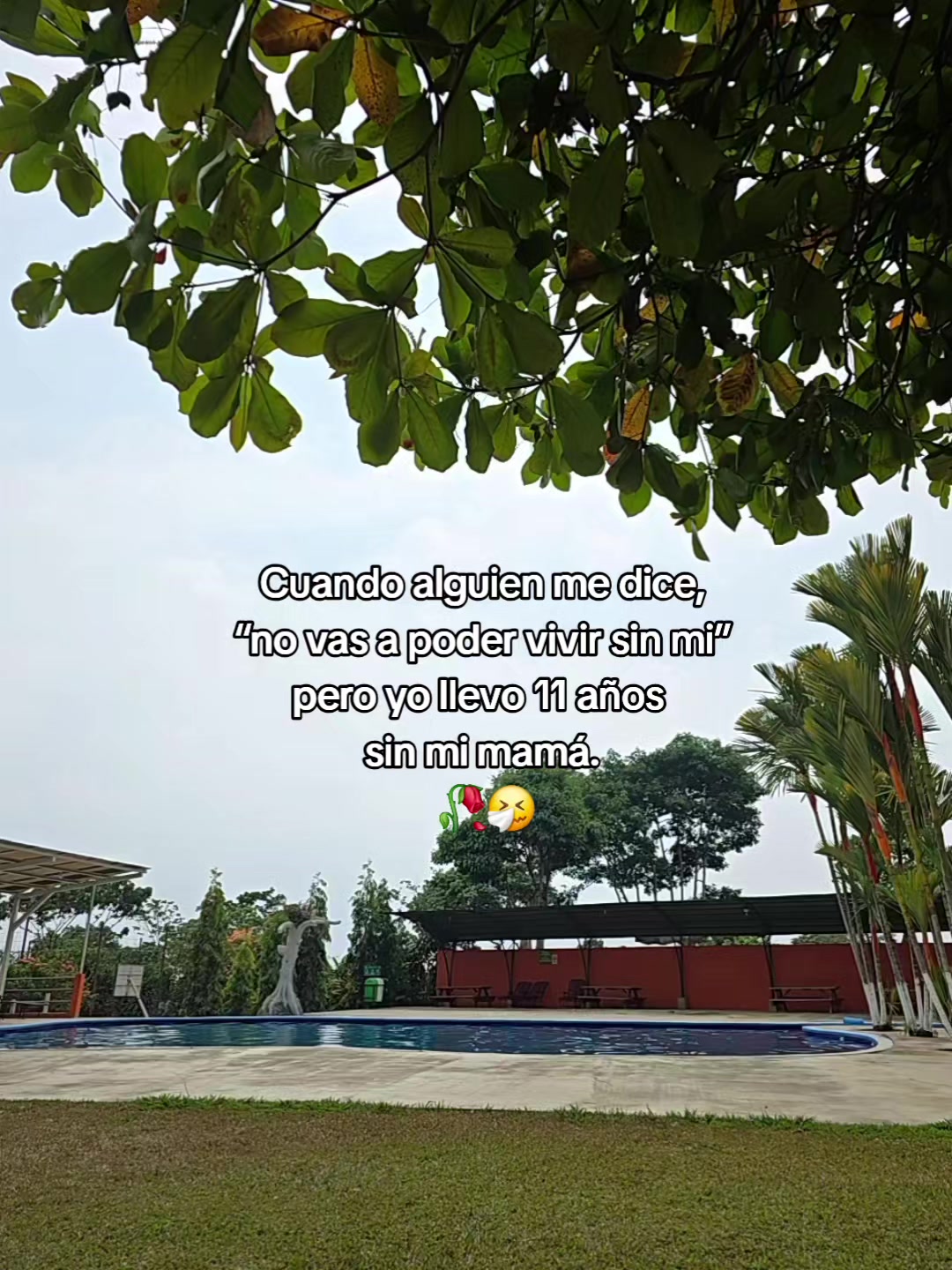 @Salas🙊