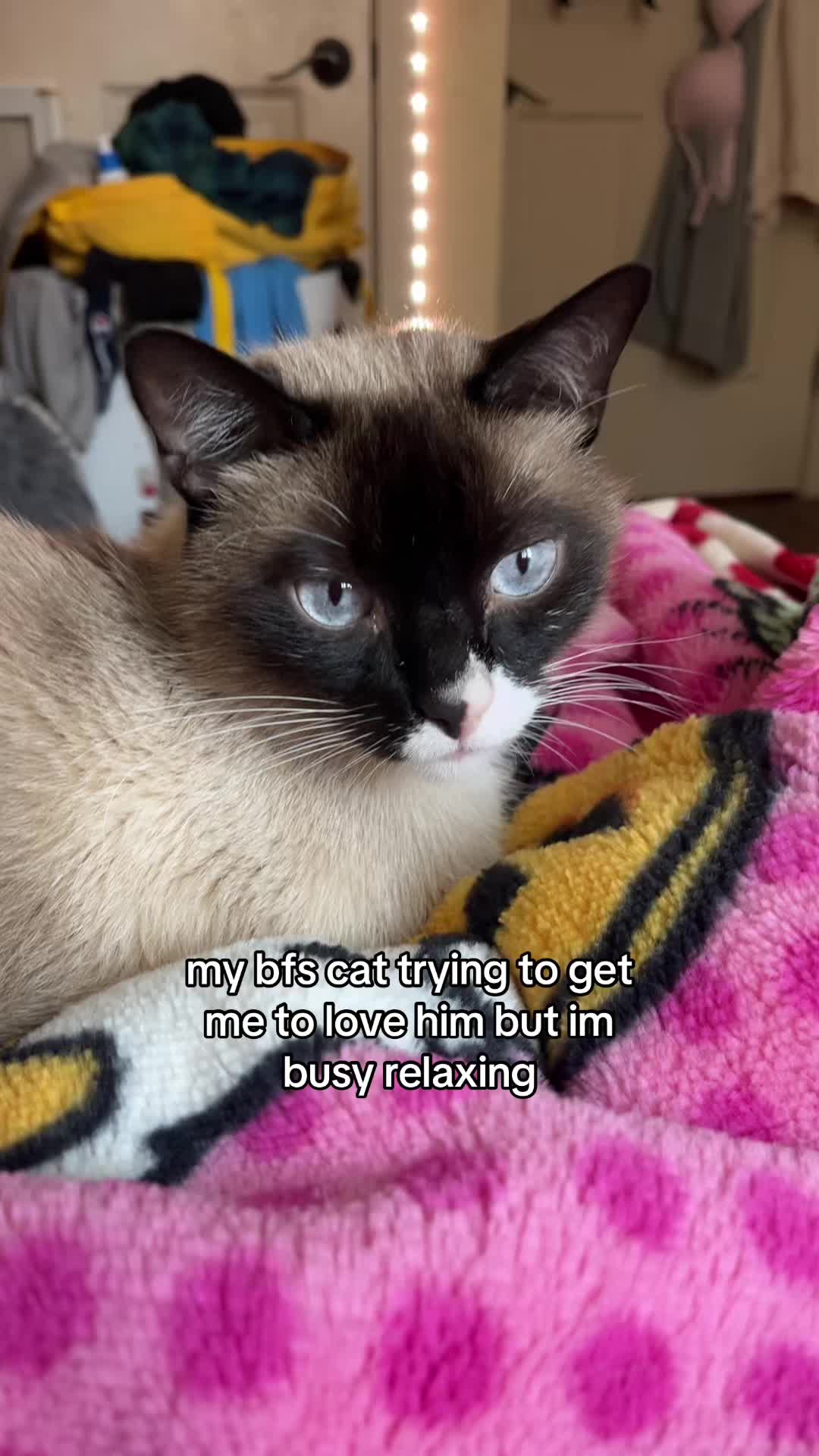 @⊱❀⊰