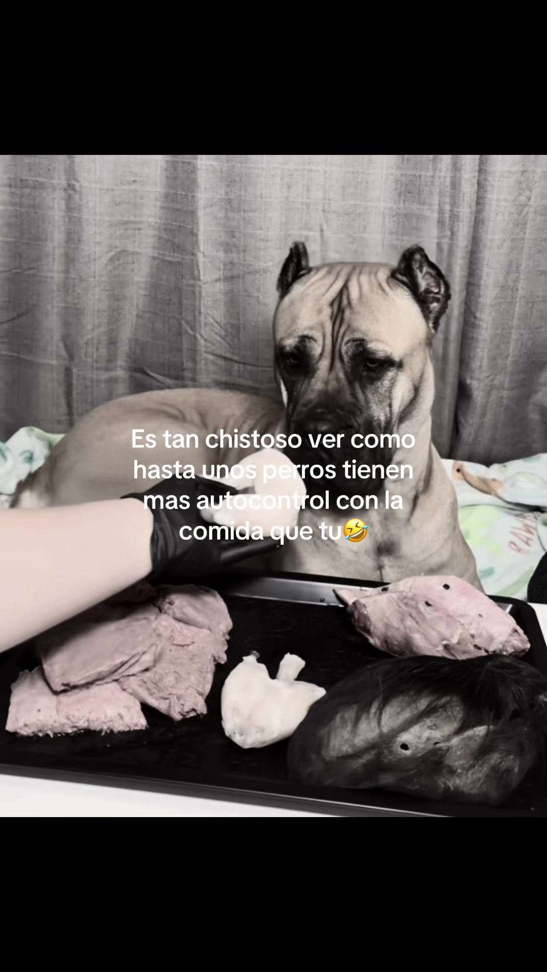 @Motivtc2.00