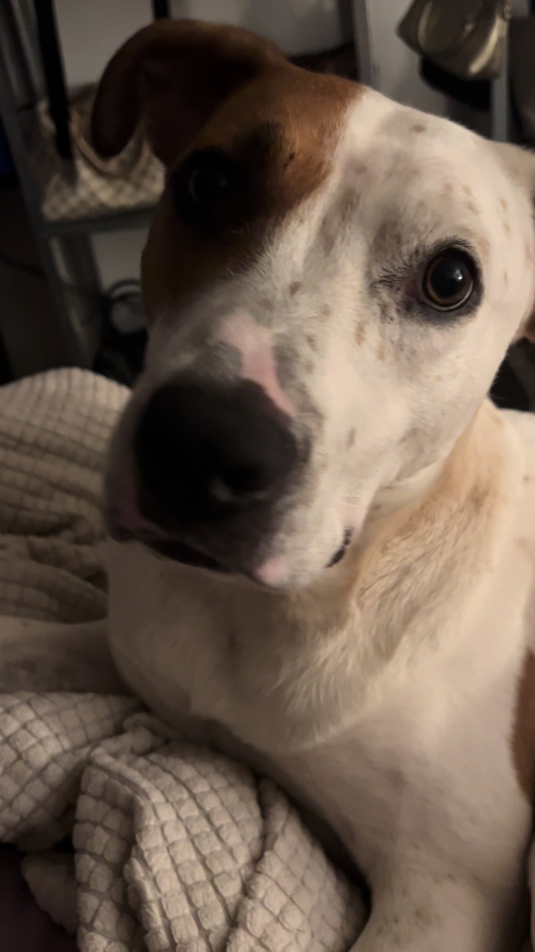 @maggieandmartha