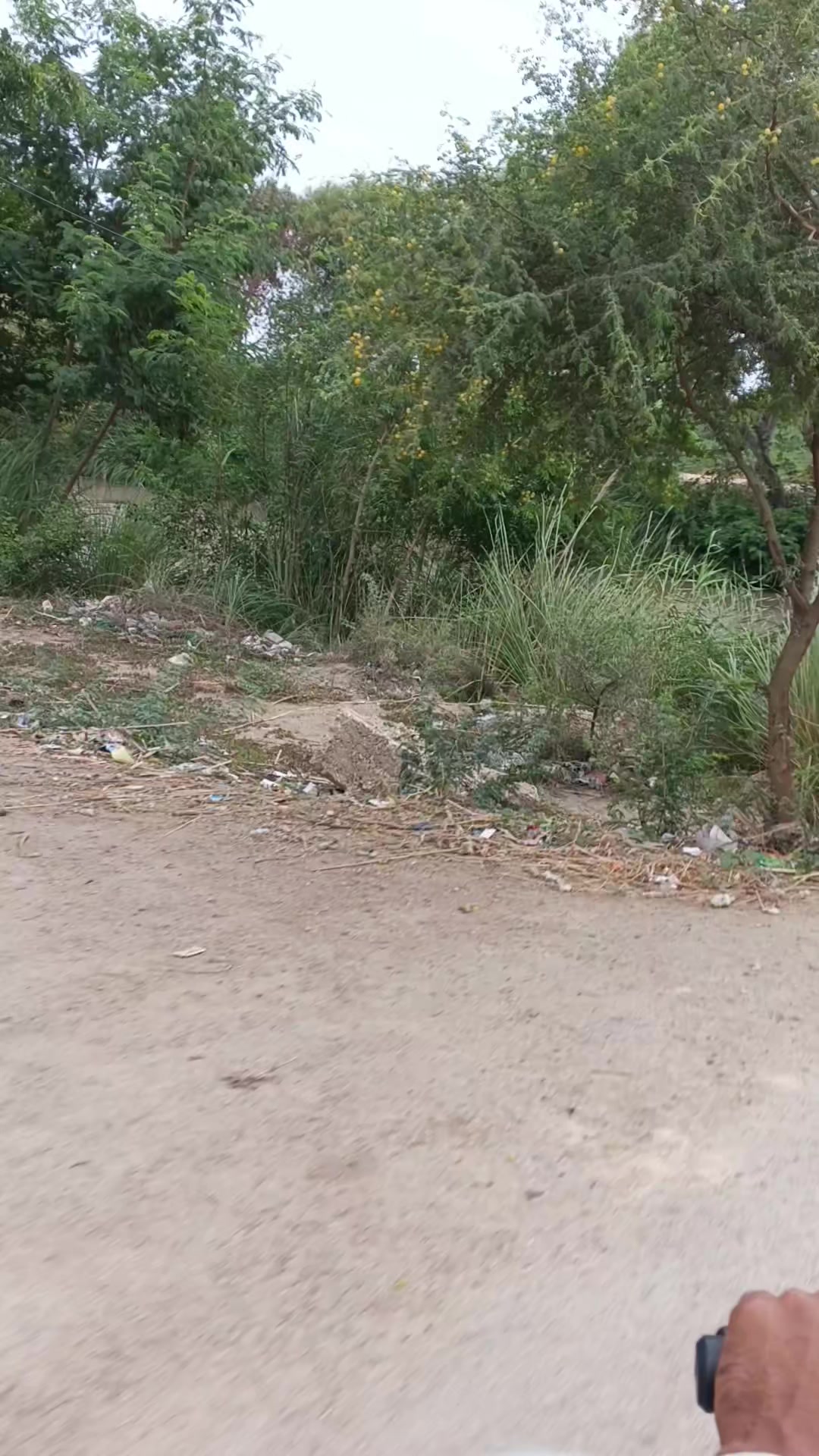 @Mukesh kumar kolhi