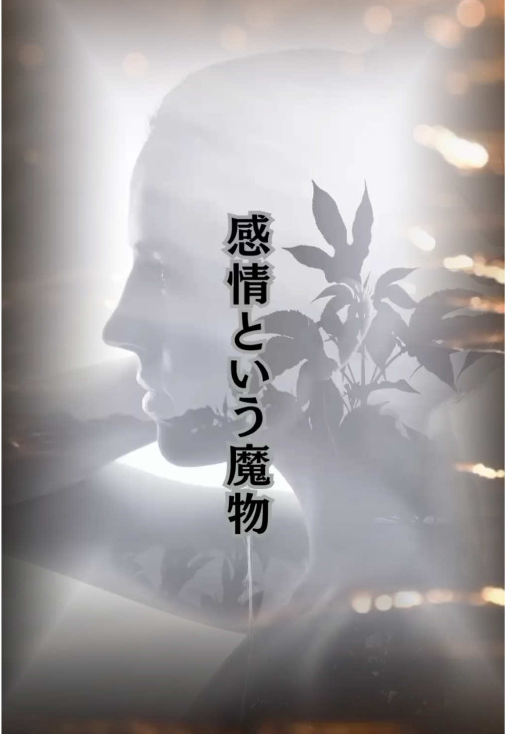 @hoshino_tarot