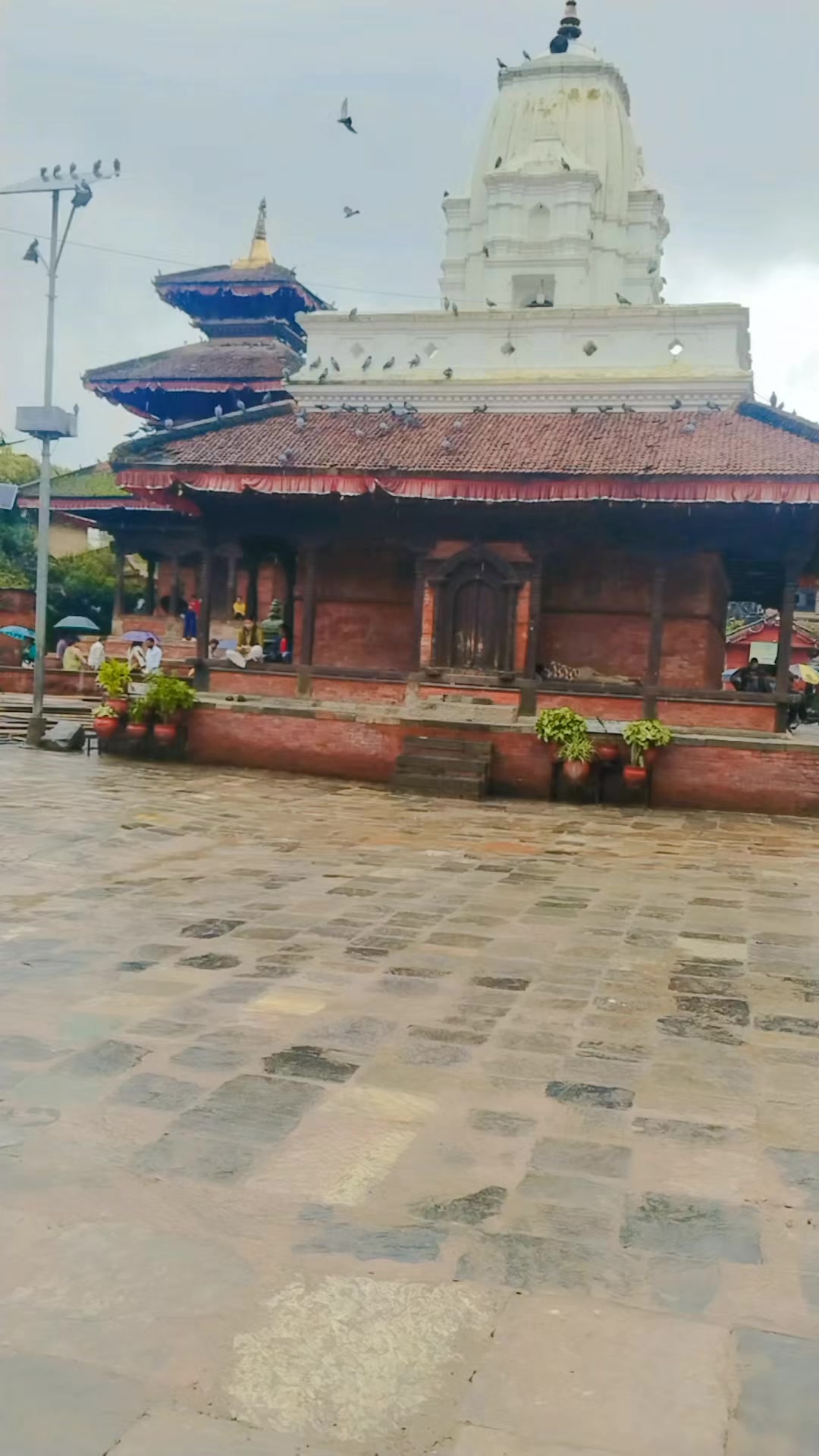 @Renu Mandal845
