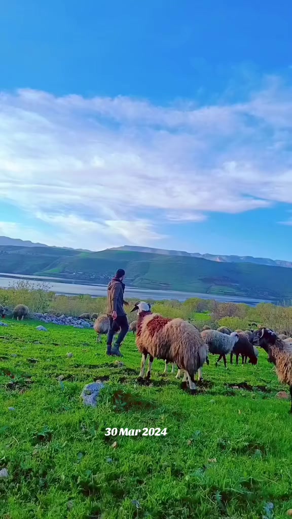 @Ferat G&Uuml;M&Uuml;ŞTAŞ