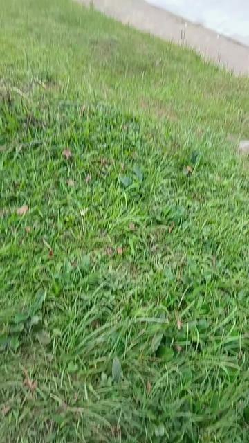 @fajrrr