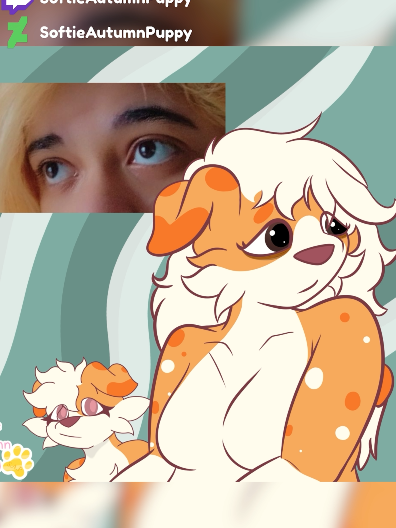 @Autumn Puppy