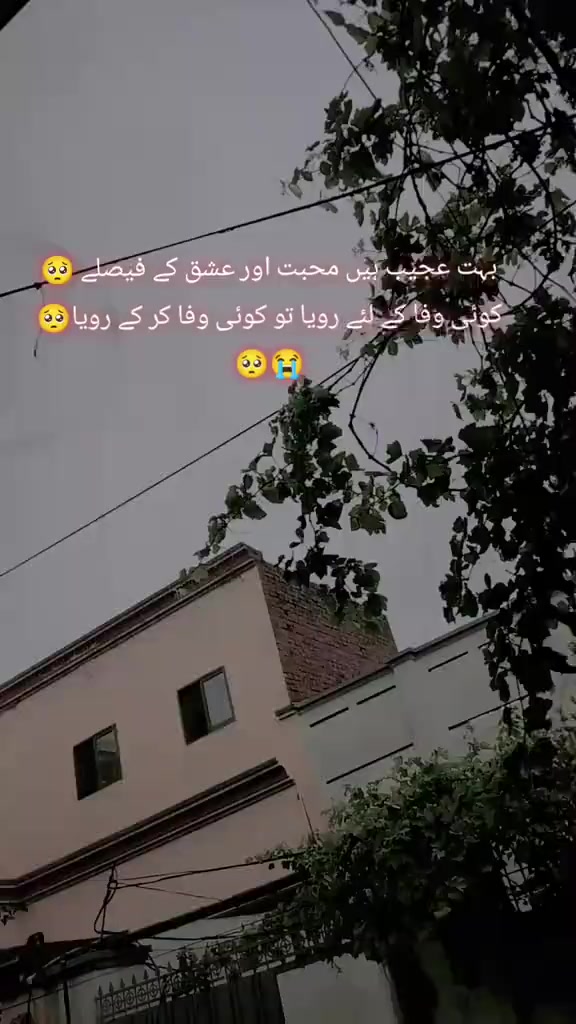 @❤️&zwj;🩹 Alone ❤️&zwj;🩹