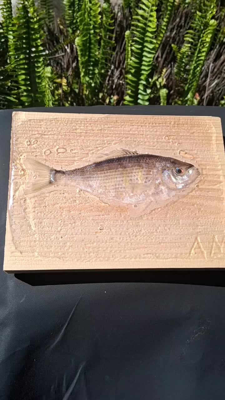 @Fish Skin Lures