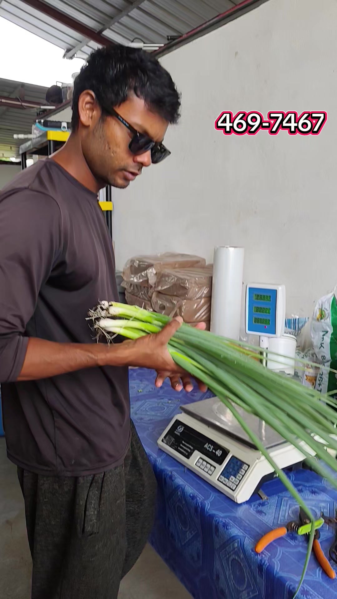 @Trini Farmer Chris 469 7467